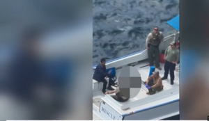 Carnival Cruise Tragedy: Woman in Her 20s Dies After Falling from Balcony — Passenger Recounts Shocking Incident at Sea