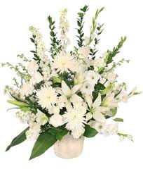 Spencer Darryl Groenenboom Lethbridge, AB Obituary, Death: In Loving Memory